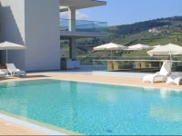 Delfim Douro Hotel 4*