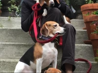 The Olde Savannah Inn 4*