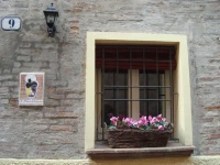 Le Stanze di Torcicoda