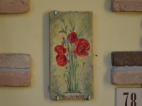 La Sorgente Del Subasio