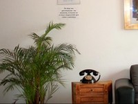 HosteLima 2*