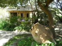 Villa Petradaki 2*