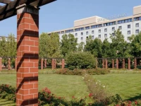 Steigenberger Berlin 5*