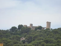 Apartamentos Gomila Park 1*