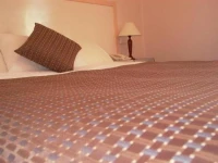 Forrest Hotel and Apartments 3*