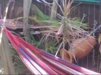 The Friendly Hostel 3*