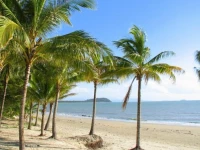 Ti-Tree Resort Holiday Apartments 4*