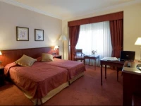 Avenida Palace 4*