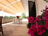 Sigismondo Castromediano