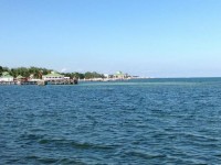 The Royal Palm Condominiums