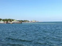 The Royal Palm Condominiums