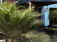 Suites Plaza Las Flores 3*