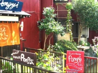 Guest House Pongyi 1*