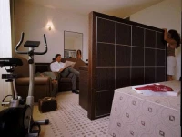 Aemilia Golden Tulip 4*