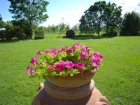 Monastero San Silvestro