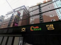 Cello Seocho 2*