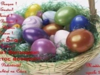 Florence Persefone Palace