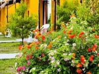 The Blue Parrot Beach Resort 2*