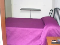 Il Grillo di Firenze