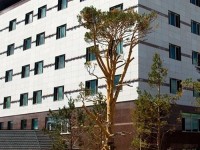 Sunjin Grand Hotel 4*