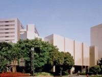 Osaka Garden Palace 3*