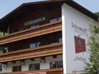Appartements Steinbock 1*