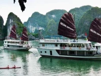 Halong Fantasea Cruise 3*