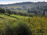 La Fornace Di Racciano