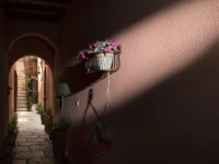 Il Cortile Fiorito 1*