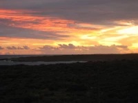 Ocean Terrace Condominiums