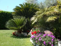 A Casa Di Anna E Luca