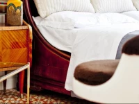 RetRome Colosseum Garden