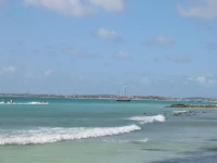 Caribbean Palm Village Resort