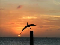 Aruba Surfside Marina