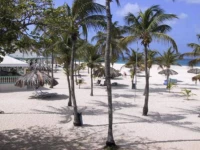 Aruba Palm Beach Villa