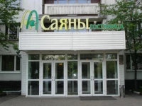 Your Hotel - Sayany 3*