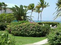 Colony Cove Beach Resort 3*