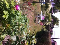 Entre Mer et Pins 3*