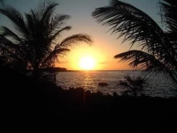 Las Rocas Resort and Dive Center 3*