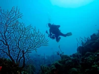 Lily Pond Guest House