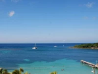 Mame Tree Bungalows 1*