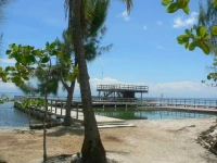 Coral View Beach Resort Utila 3*