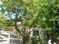 Guest House Martin 2*