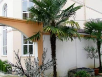 Forsazh hotel Sochi 3*