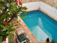 La Villa Marbella 3*