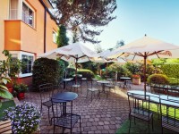 Tulipan Pruhonice 3*