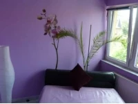 Asymi Apartman Szeged