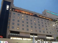 Sannomiya Terminal Hotel 3*