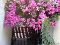 Alojamiento Alberto Magno