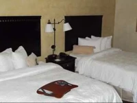 Hampton Inn & Suites Dallas-Arlington North-Entertainment District 3*